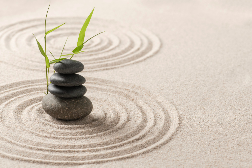 Free Guided Chakra Meditations Now Available 